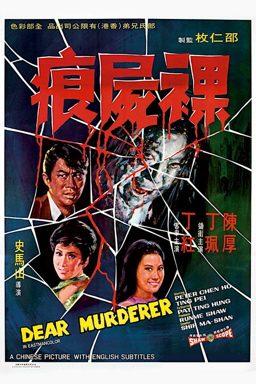 Dear Murderer poster 5