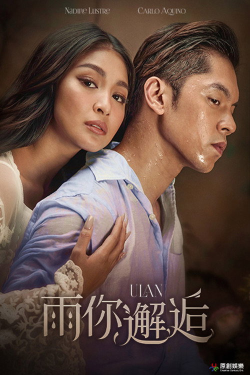 雨中的童话电影海报