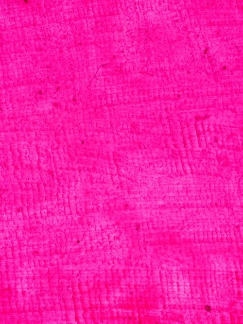 1/24 Pink's poster