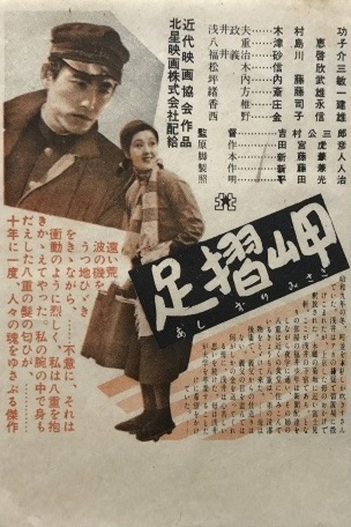 Cape Ashizuri Poster