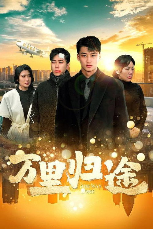 万里归途电影海报