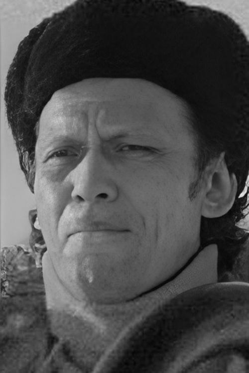 Poster of Anatoli Dubinkin