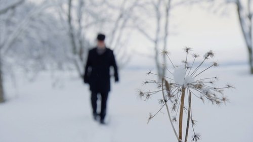 Stories of Courage