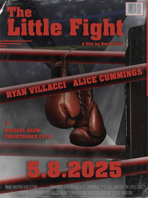 The Little Fight Poster