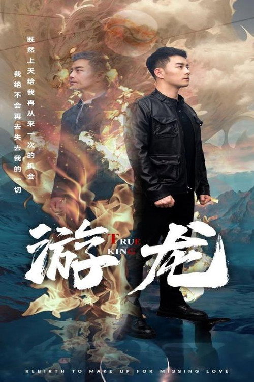 游龙电影海报