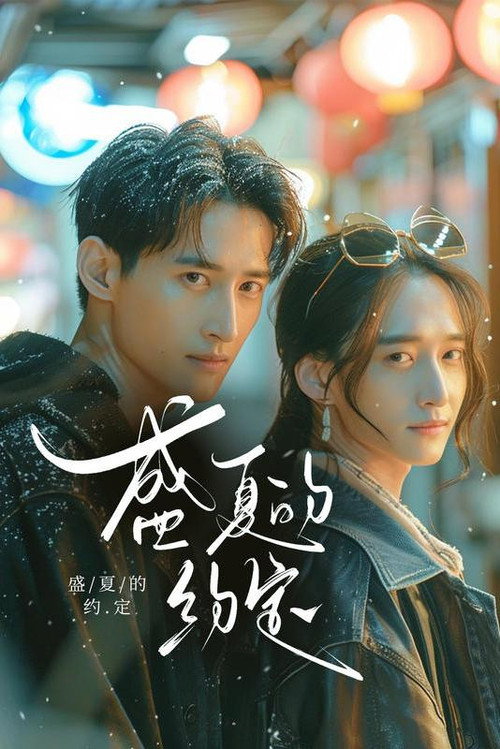 盛夏的约定海报