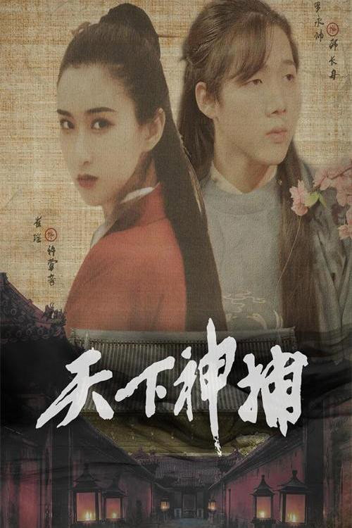 天下神捕电影海报