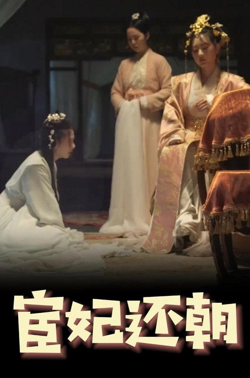 宦妃还朝电影海报