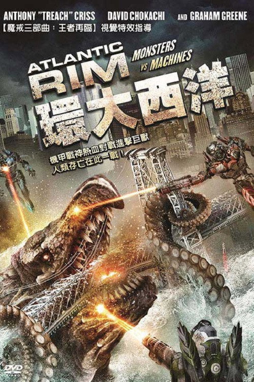 环大西洋电影海报