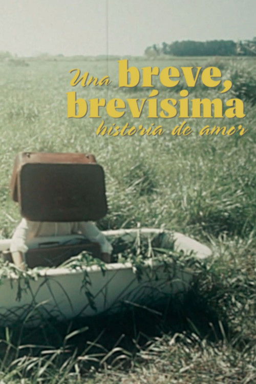 Una Breve, Brevísima Historia De Amor