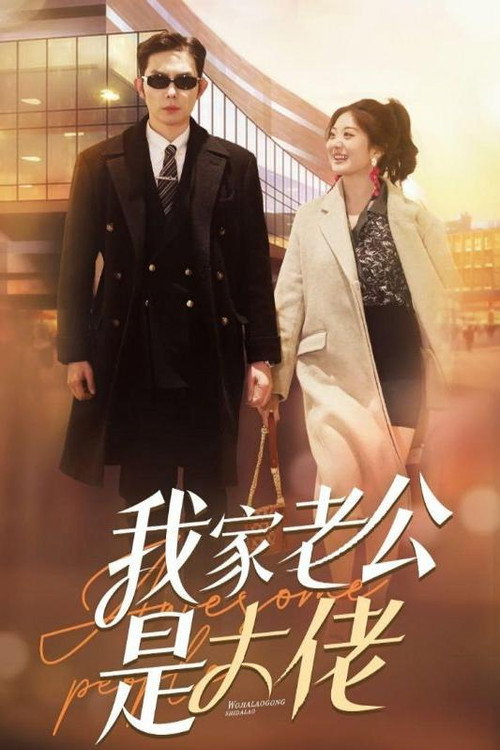 我家老公是大佬电影海报