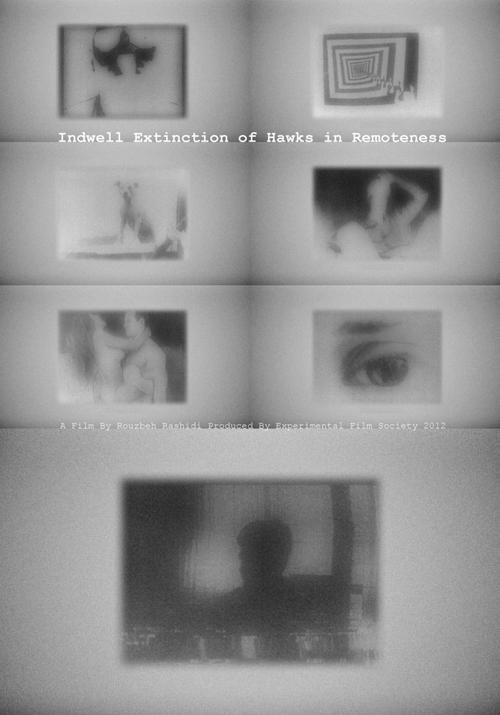 Indwell Extinction of Hawks in Remoteness Poster