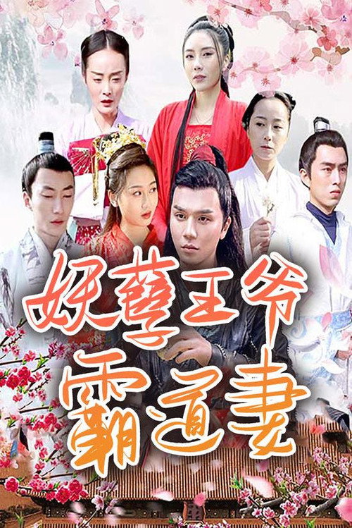 妖孽王爷霸道妻电影海报