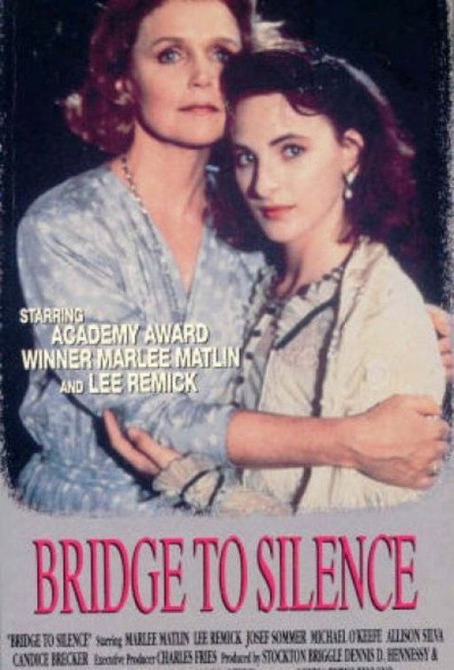 Bridge to Silence poster 2