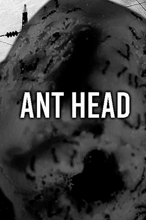 Ant Head电影海报