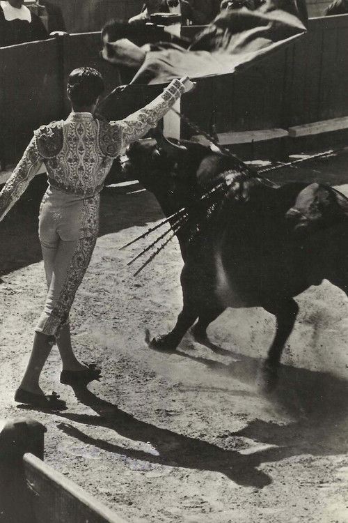 Bullfighting prohibited