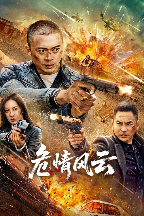危情风云 Poster