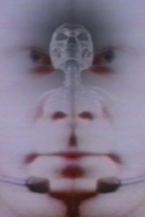 Deux Fois L'Univers