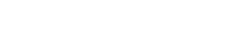 FIGHT OR FLIGHT Logo