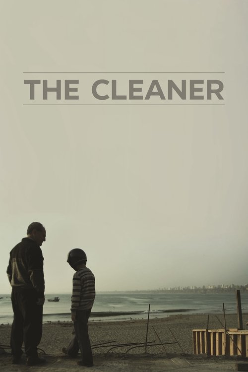 The Cleaner Poster
