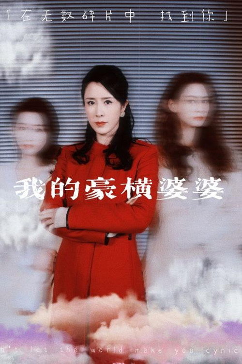 我的豪横婆婆电影海报