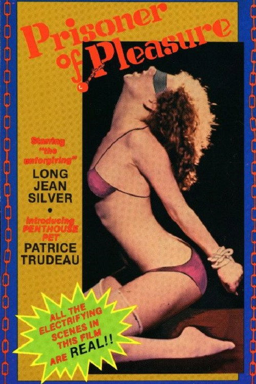 Prisoner of Pleasure poster 2