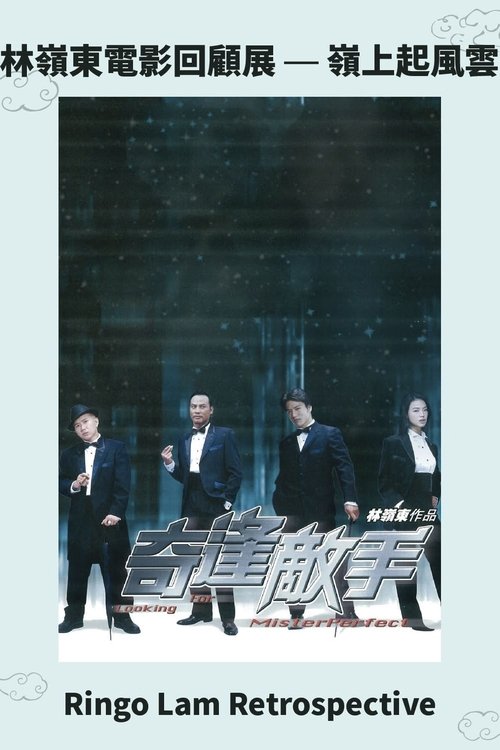 Looking for Mr. Perfect Poster