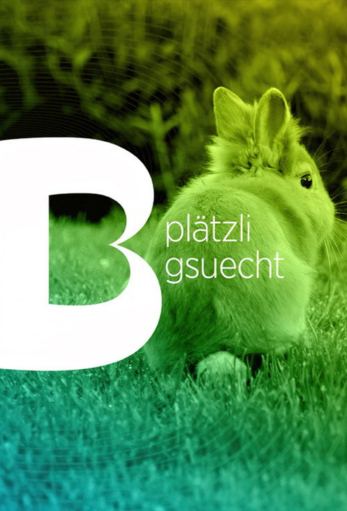 Pl&auml;tzli Gsuecht电影海报