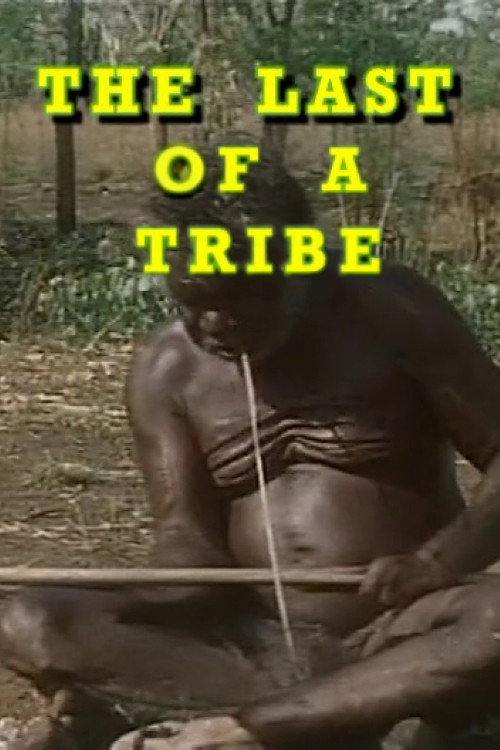 The Last Of A Tribe电影海报