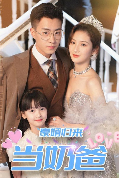 豪婿归来当奶爸电影海报