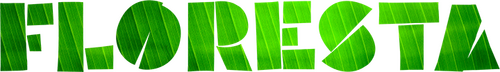 banner card