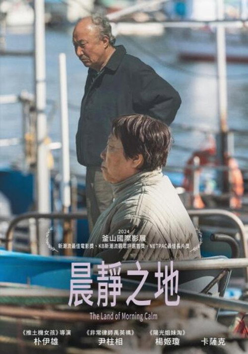 晨海的海鸥电影海报