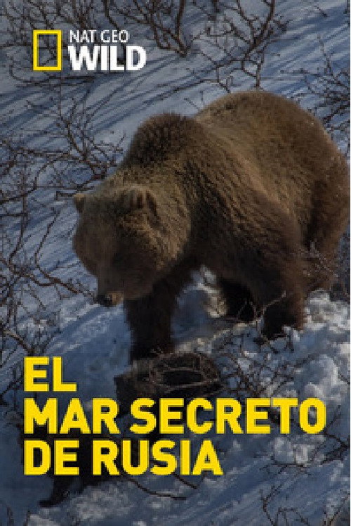 El mar secreto de Rusia电影海报