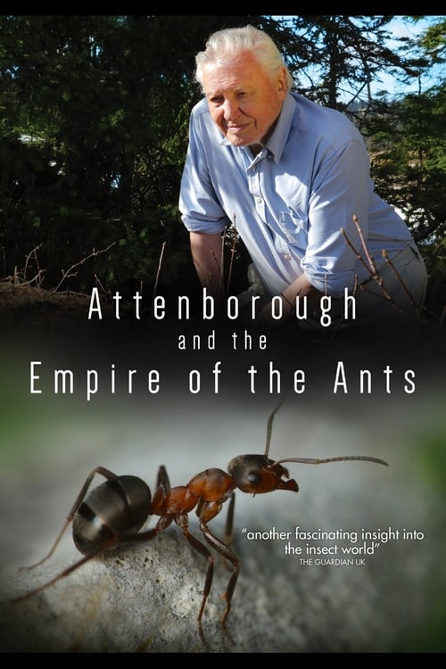 Movie image David Attenborough's Ant Mountain 