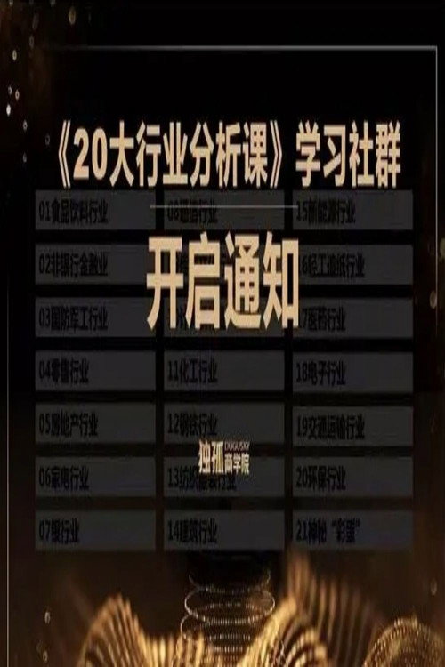 老裘的20大行业分析课电影海报
