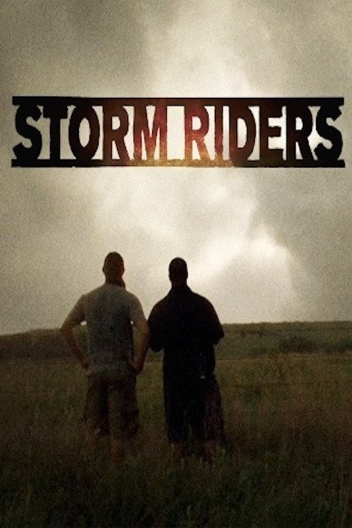 Storm Riders电影海报