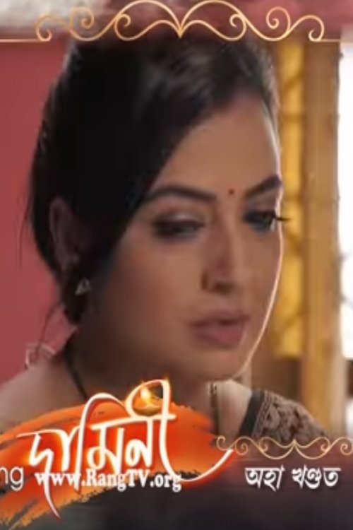 Poster of Damini