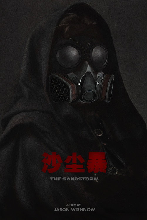 沙尘暴电影海报
