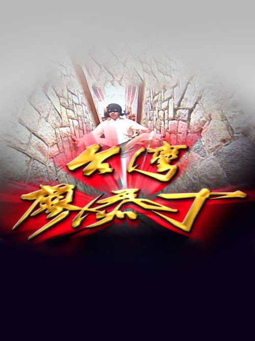 台湾廖添丁电影海报