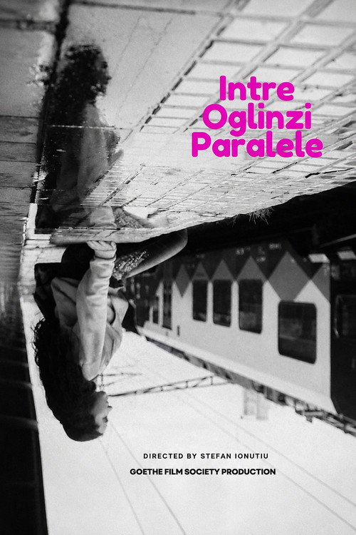 Through Parallel Mirrors's poster
