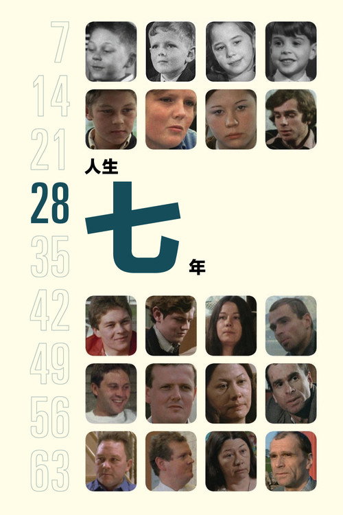 人生七年4电影海报