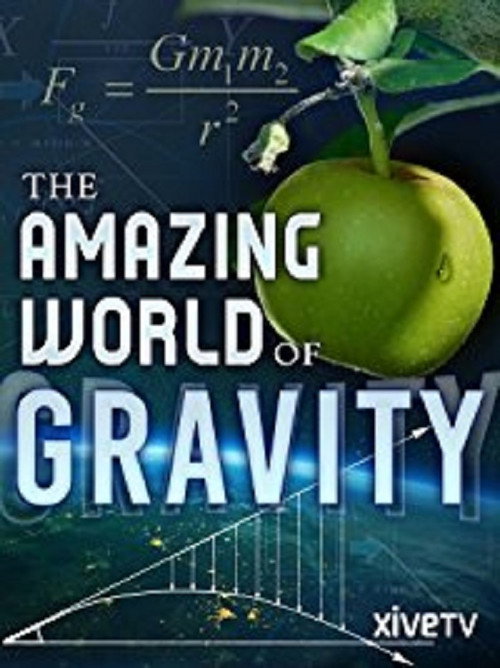 The Amazing World of Gravity poster 2