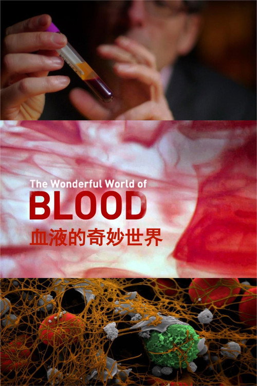 血液的奇妙世界电影海报