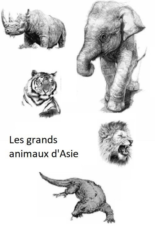 Les Grands Animaux d'Asie电影海报