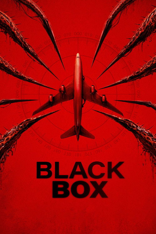Black Box (Flight 298)电影海报