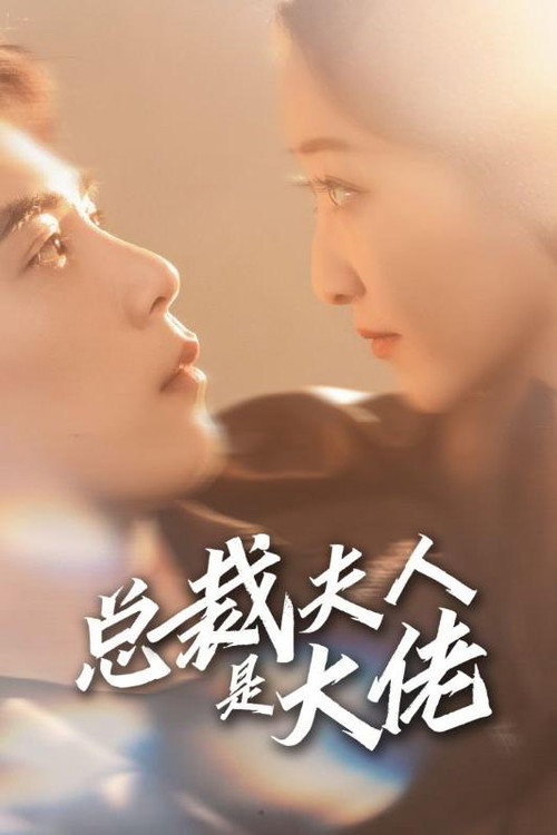 总裁夫人是大佬电影海报