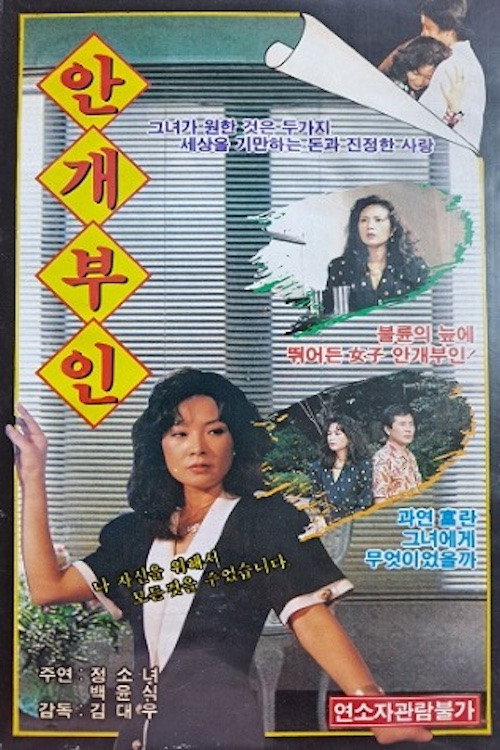 Misty Lady Poster