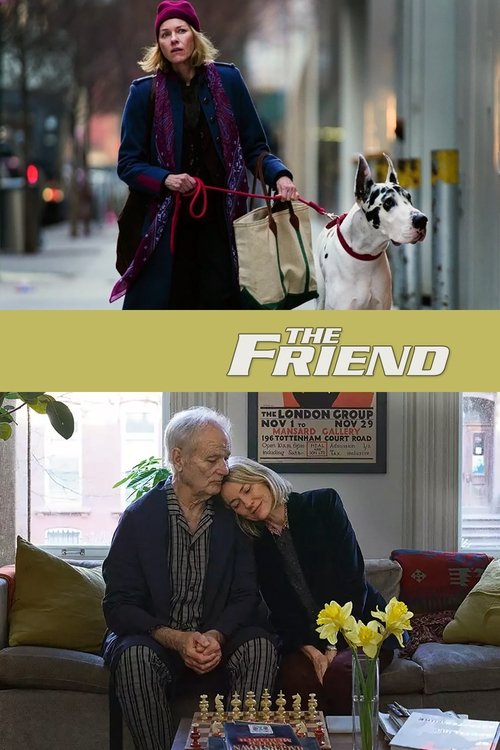 Películas recomendadas después de ver The Friend en español - ¡No te quedes sin verla!