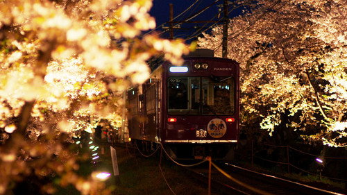 Spring in Kyoto: A Trip on a Little Local Train