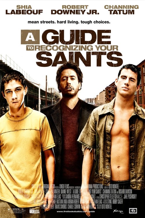 A Guide To Recognizing Your Saints